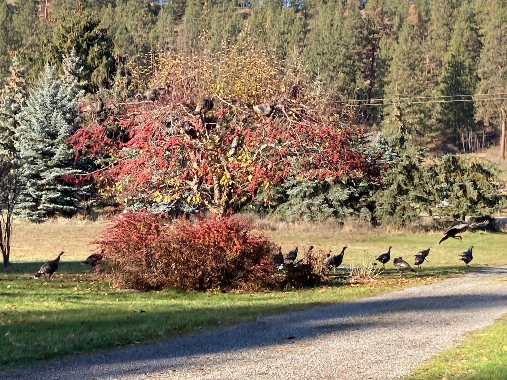 Country house Hideaway Ranch Bonners Ferry
